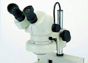 カートン carton 顕微鏡