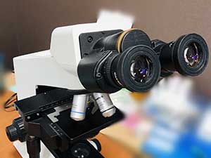 オリンパス 生物顕微鏡 レンズ